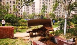 阳光雅苑水井爆料视频播放,揭秘社区生活背后真相